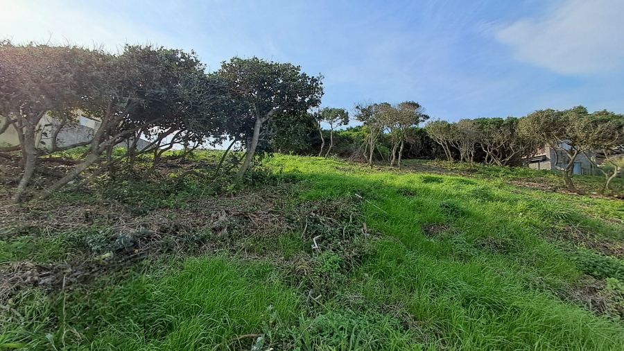  Bedroom Property for Sale in Seaview Eastern Cape